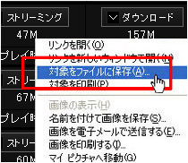 カリビアンコムダウンロード1