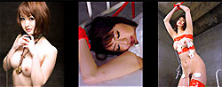 カリビアンキューティー Vol.14